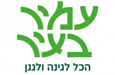 עמיר בעיר